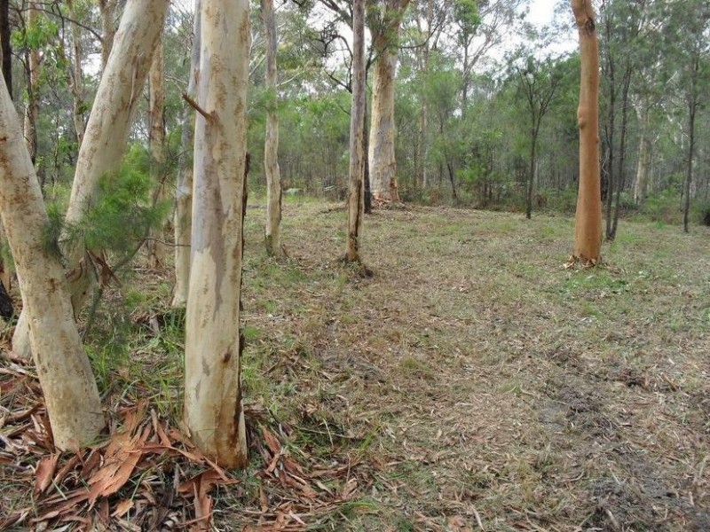 10 Wirralee Street, Macleay Island QLD 4184