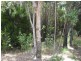 9 Pelican Street, Macleay Island QLD 4184