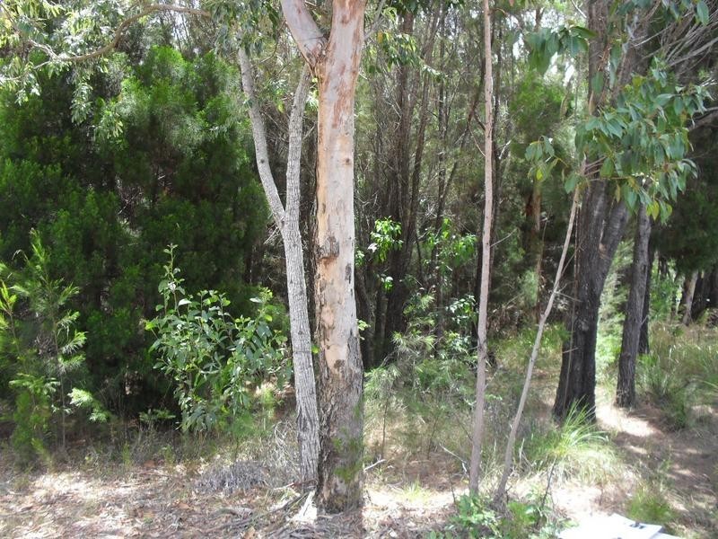 9 Pelican Street, Macleay Island QLD 4184