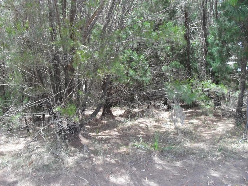 9 Pelican Street, Macleay Island QLD 4184