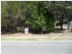 9 Pelican Street, Macleay Island QLD 4184