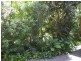 20 Devaney Street, Macleay Island QLD 4184