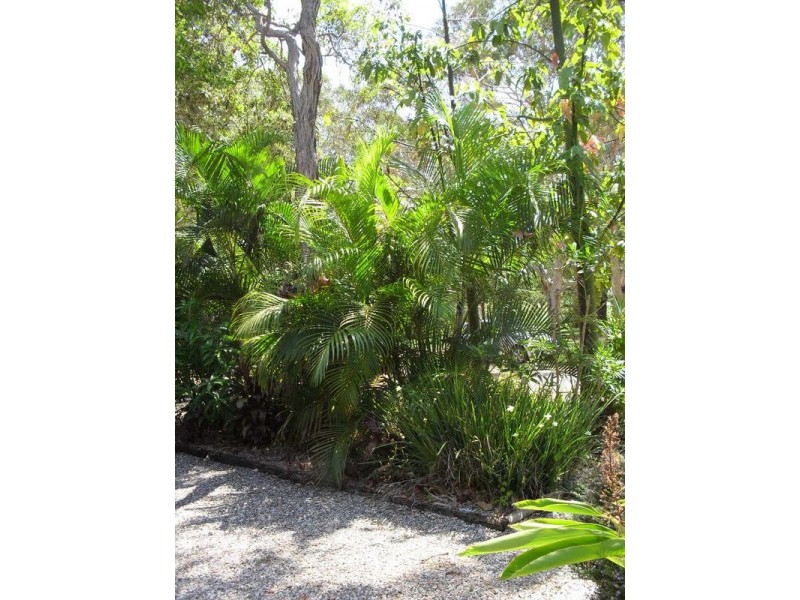 20 Devaney Street, Macleay Island QLD 4184