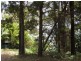 33 Coast Road, Macleay Island QLD 4184