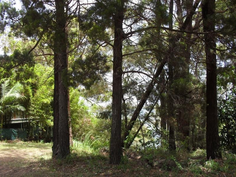 33 Coast Road, Macleay Island QLD 4184