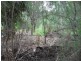 40 Hastings Street, Macleay Island QLD 4184