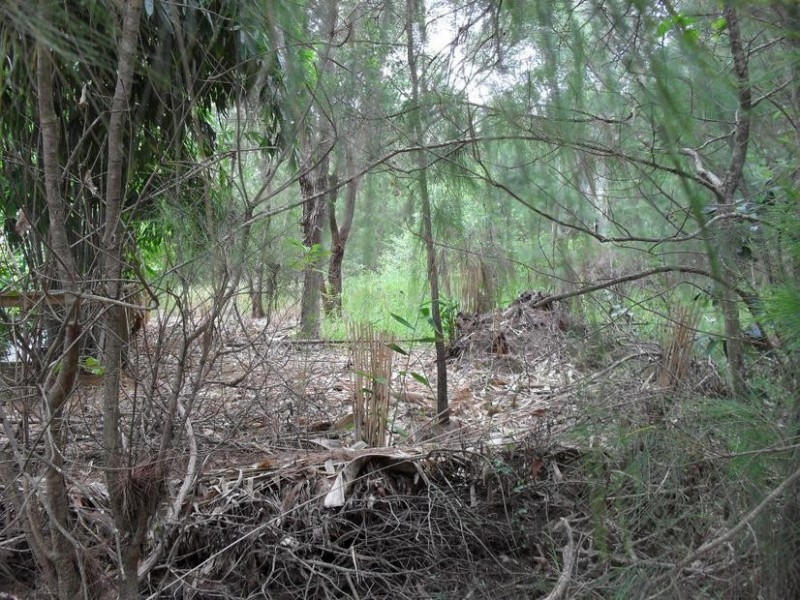 40 Hastings Street, Macleay Island QLD 4184