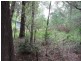 40 Hastings Street, Macleay Island QLD 4184