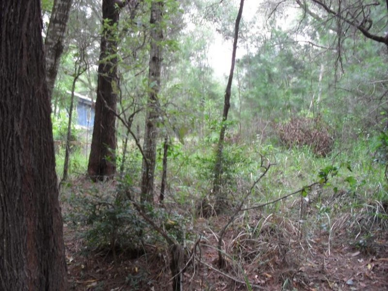 40 Hastings Street, Macleay Island QLD 4184