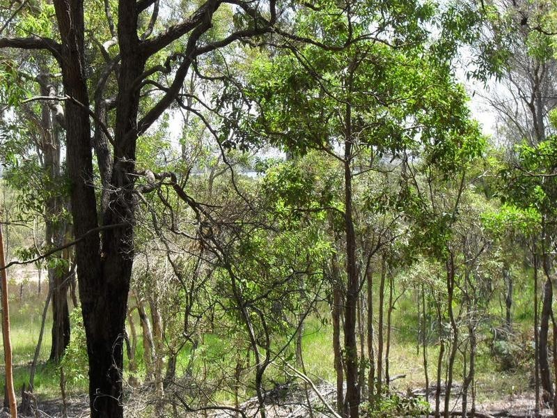 32 Charles Terrace, Macleay Island QLD 4184