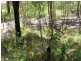 32 Charles Terrace, Macleay Island QLD 4184