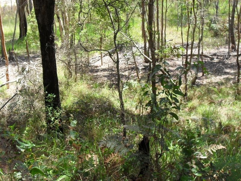 32 Charles Terrace, Macleay Island QLD 4184