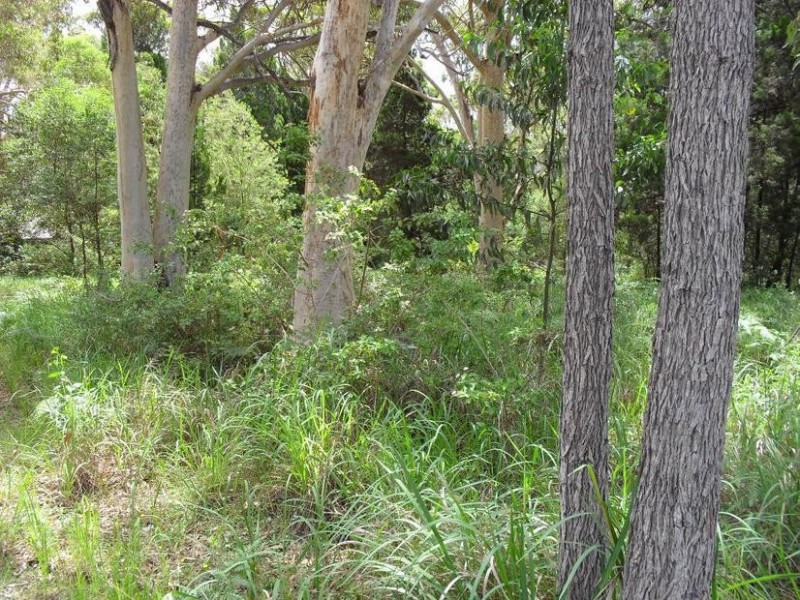 65 Kate Street, Macleay Island QLD 4184