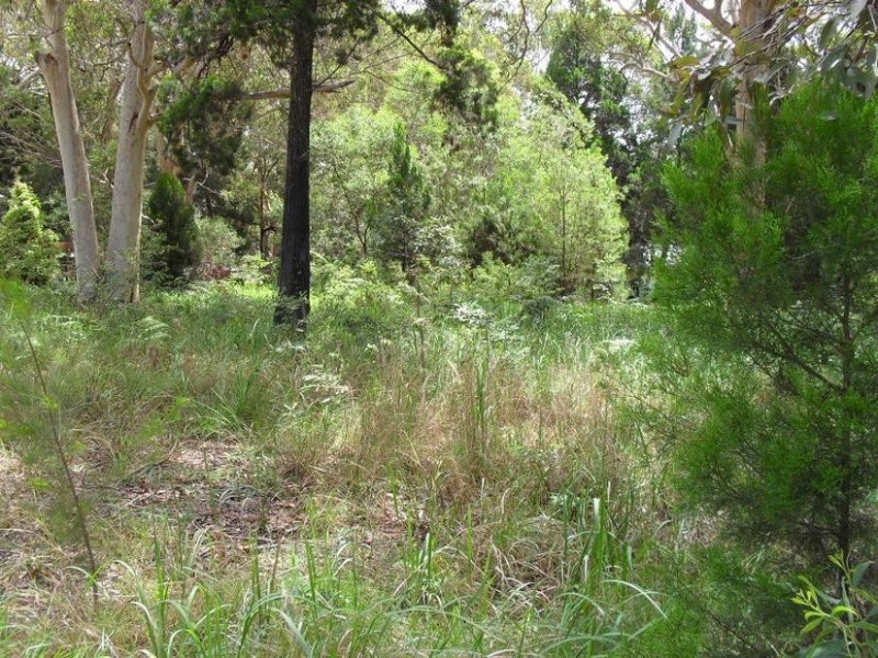 65 Kate Street, Macleay Island QLD 4184