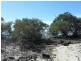 55 Attunga Street, Macleay Island QLD 4184