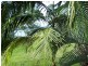 42 Blue Water Crescent, Macleay Island QLD 4184