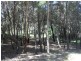 86 High Central Road, Macleay Island QLD 4184