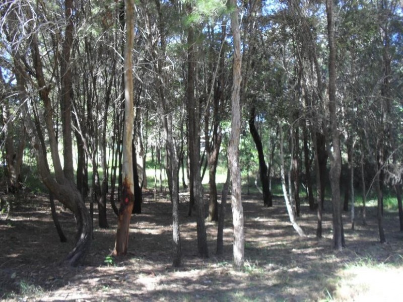 86 High Central Road, Macleay Island QLD 4184