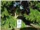4 Lake Street, Macleay Island QLD 4184