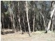 14 Leanne Street, Macleay Island QLD 4184