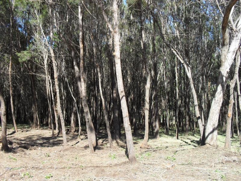 14 Leanne Street, Macleay Island QLD 4184