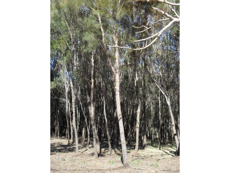 14 Leanne Street, Macleay Island QLD 4184