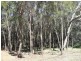14 Leanne Street, Macleay Island QLD 4184
