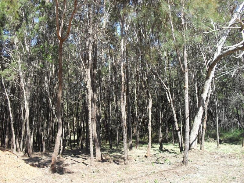 14 Leanne Street, Macleay Island QLD 4184