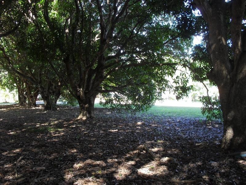 14 Leanne Street, Macleay Island QLD 4184