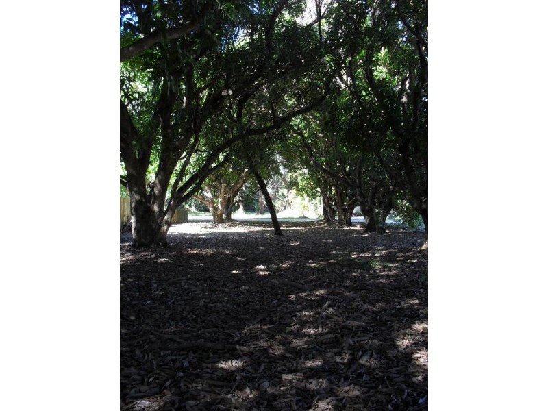 14 Leanne Street, Macleay Island QLD 4184