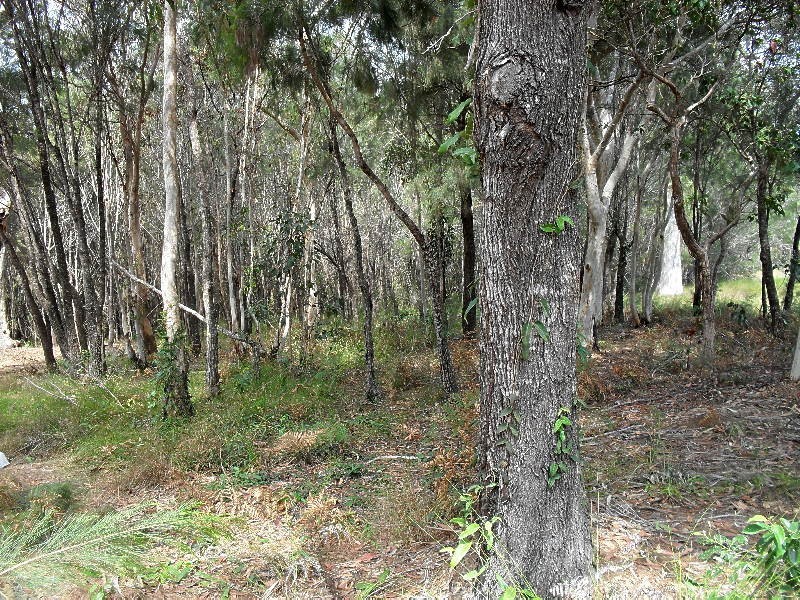 24 Lakeside Avenue, Macleay Island QLD 4184