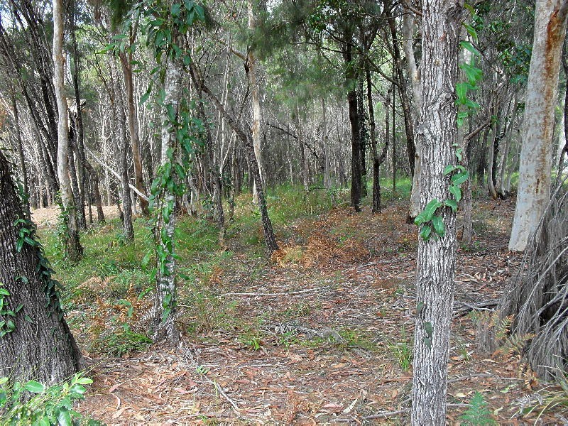 24 Lakeside Avenue, Macleay Island QLD 4184