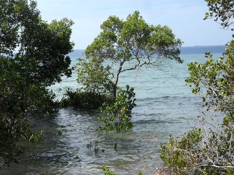 35 Udara Street, Macleay Island QLD 4184