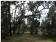 35 Udara Street, Macleay Island QLD 4184