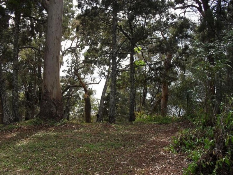 2-10 Zelma Court, Macleay Island QLD 4184
