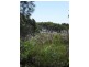 70 Charles Terrace, Macleay Island QLD 4184