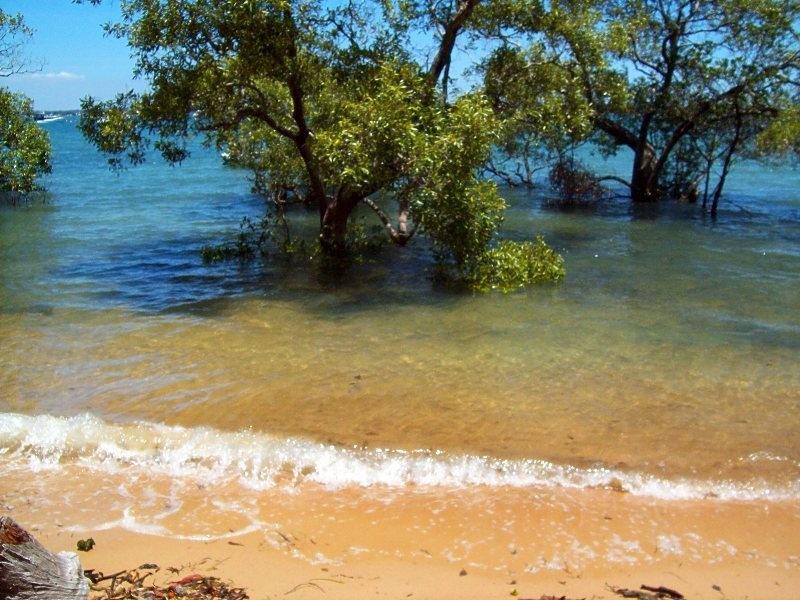 21 Coondooroopa Drive, Macleay Island QLD 4184