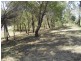1 Causeway Drive, Macleay Island QLD 4184