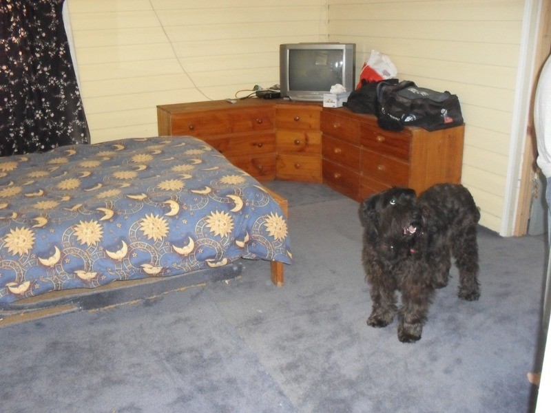 11 Heath Street, Macleay Island QLD 4184