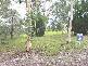 28 Morwong STREET, Macleay Island QLD 4184