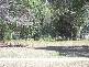 187 High Central ROAD, Macleay Island QLD 4184