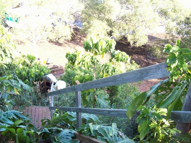112 Western Road, Macleay Island QLD 4184
