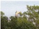 130 Western Road, Macleay Island QLD 4184