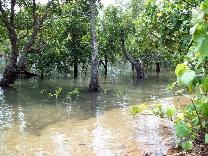 23 Coorong Street, Macleay Island QLD 4184