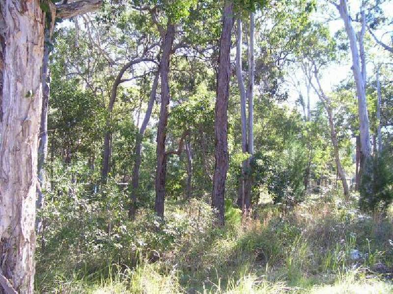 163 Kate Street, Macleay Island QLD 4184