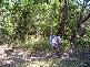 145 Kate Street, Macleay Island QLD 4184