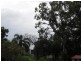 17 Cressy Street, Macleay Island QLD 4184