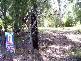 3 Rainbow Avenue, Macleay Island QLD 4184