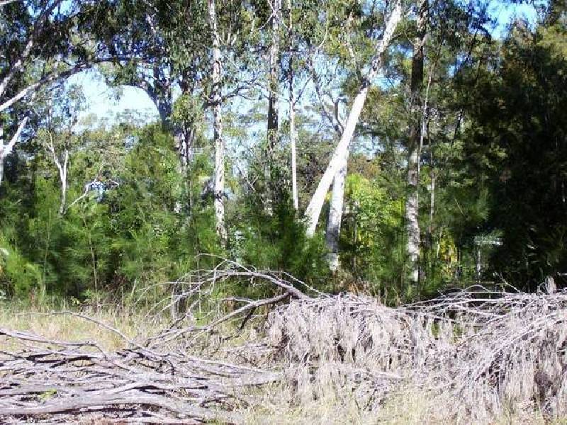 Morwong, Macleay Island QLD 4184