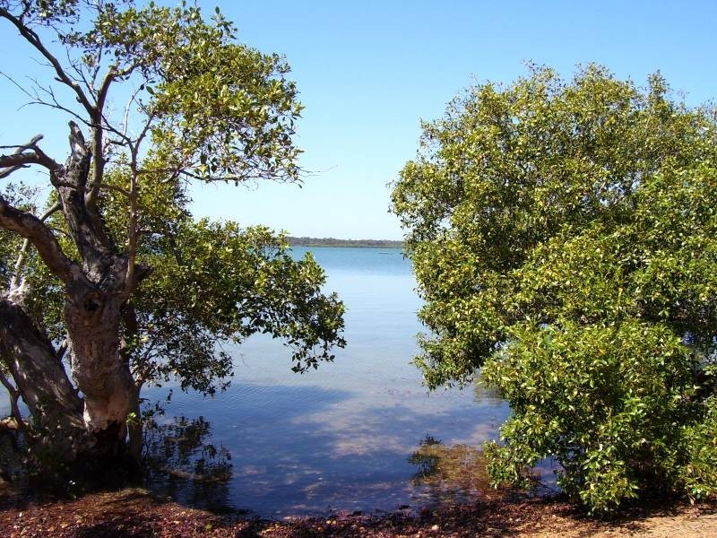 32 Coorong Street, Macleay Island QLD 4184